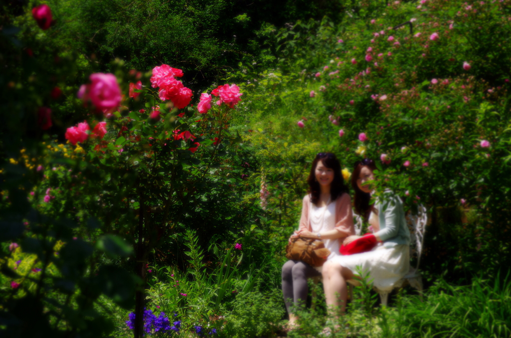 花咲く乙女たちよ