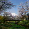 忍野の春を思い出し(2009年4月撮影)