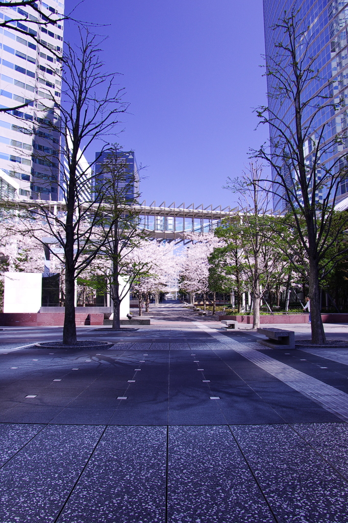 そこへ行きたい