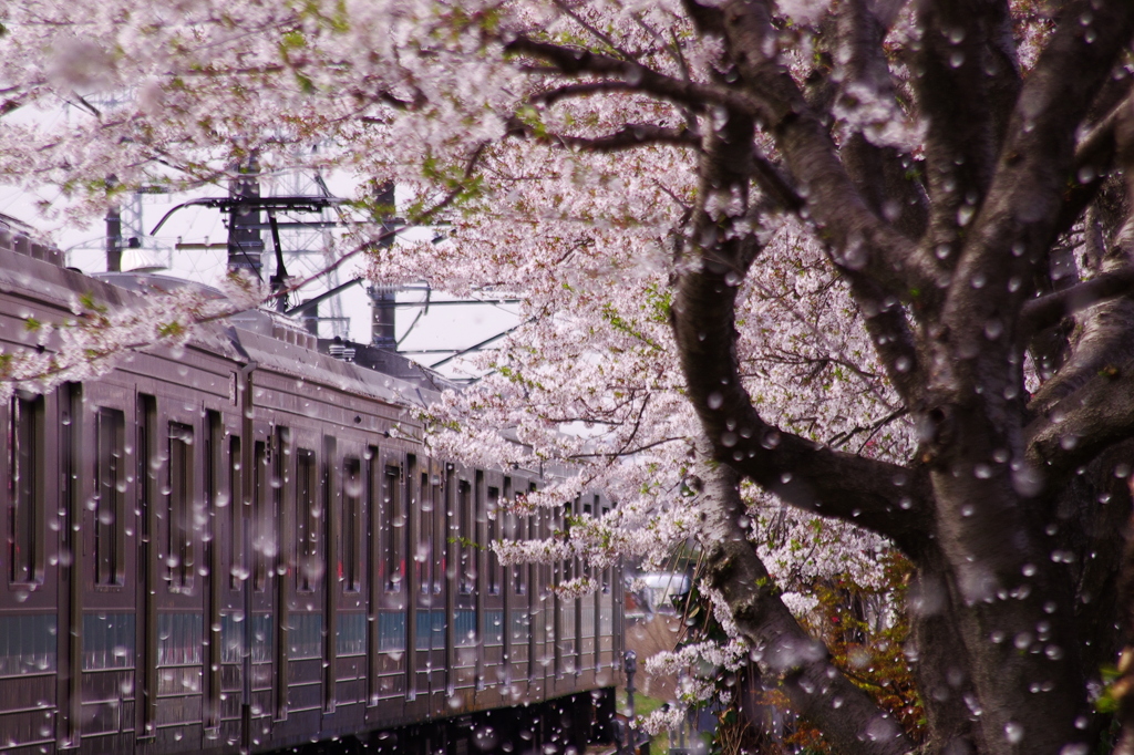 花送り