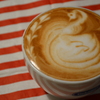 swan