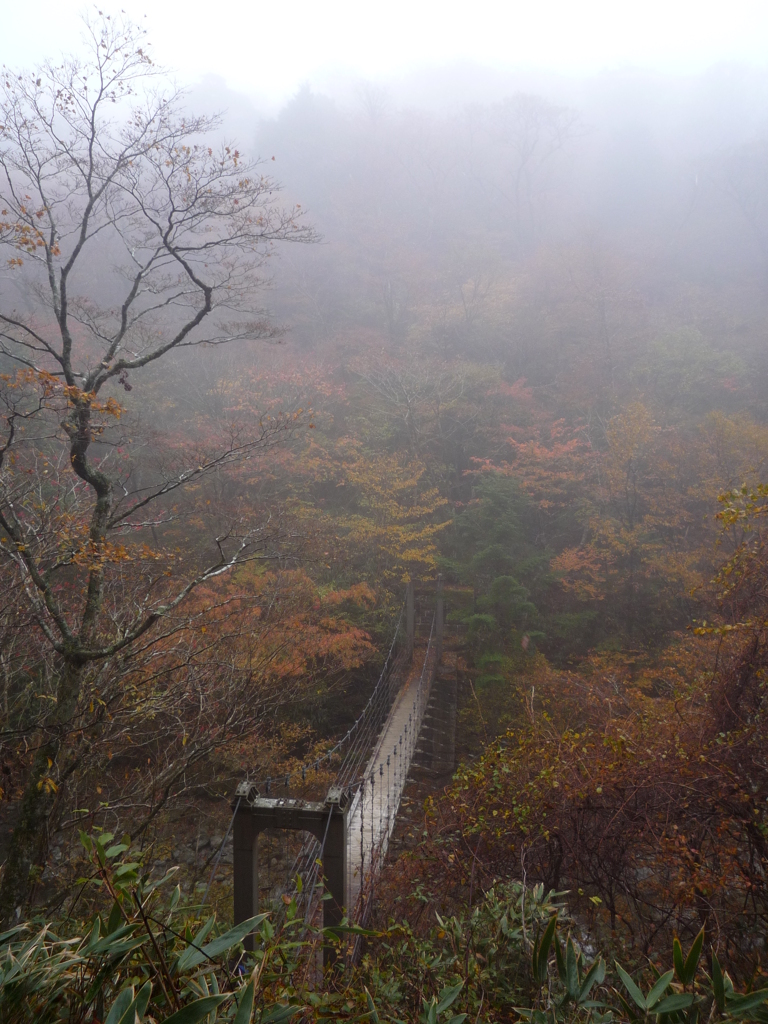 霧の中の吊り橋