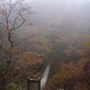 霧の中の吊り橋