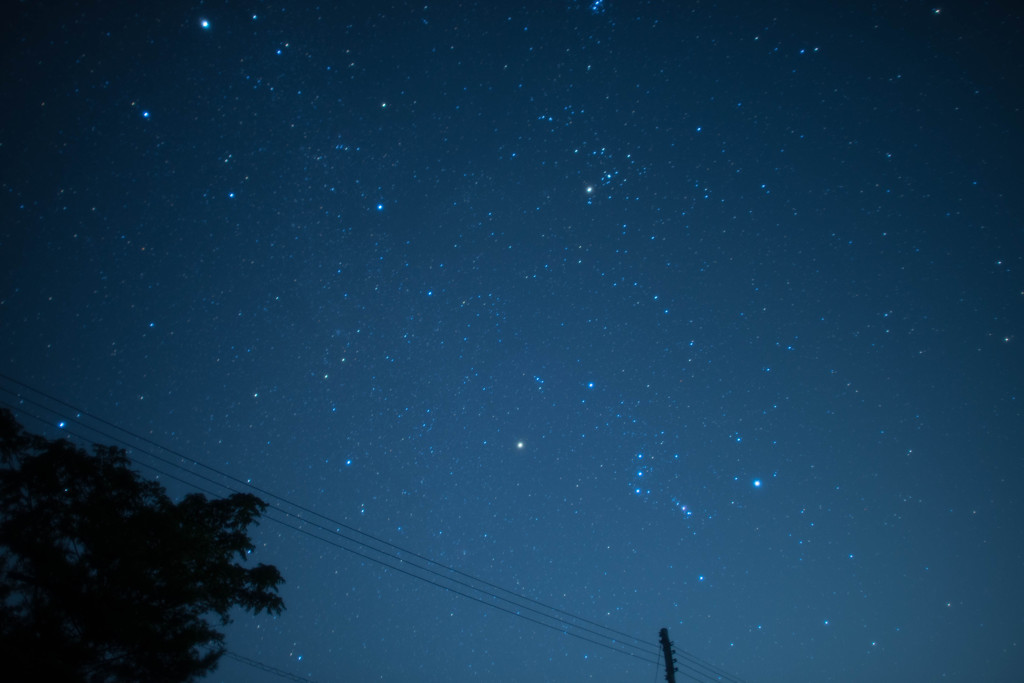 夏のオリオン座 By Vell Id 写真共有サイト Photohito