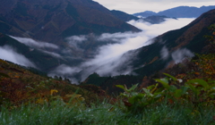 早朝　山道