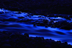 夜流