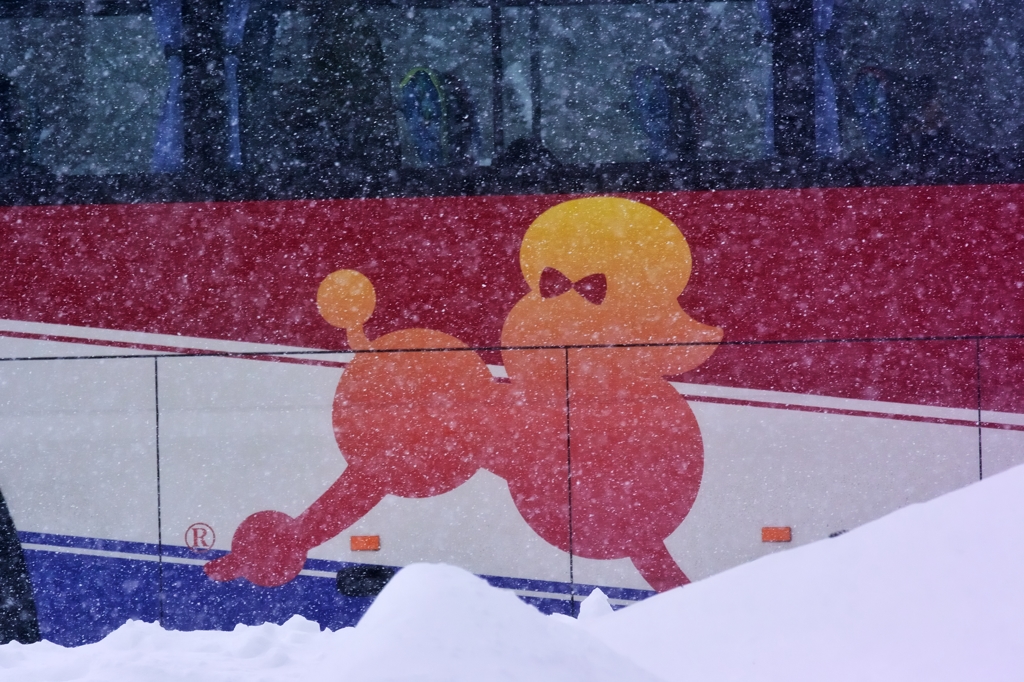 日帰りバス旅行