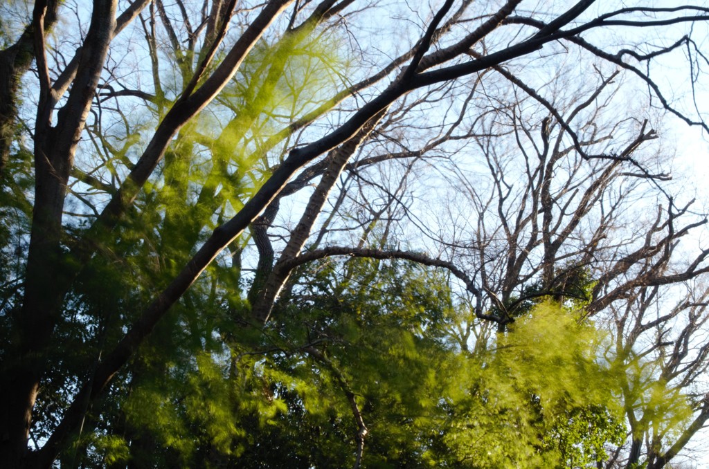 風2