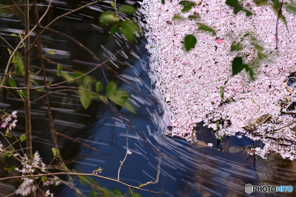 花溜り