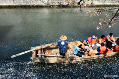 花筏を掻き分けて