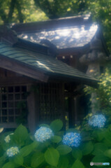妙楽寺