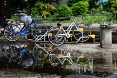 雨上がりの駐輪場