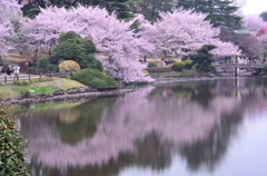 跳ねるように