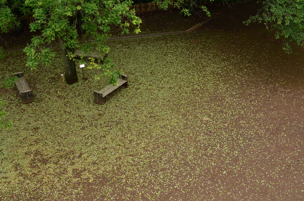 静寂