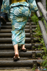 紫陽花柄の浴衣