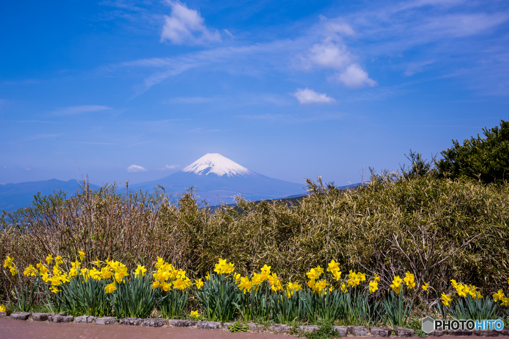 富士山