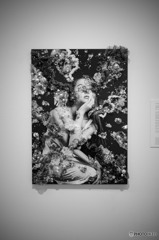 増田セバスチャン