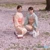 桜散る着物べっぴんさん
