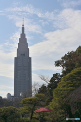 庭園からの眺め