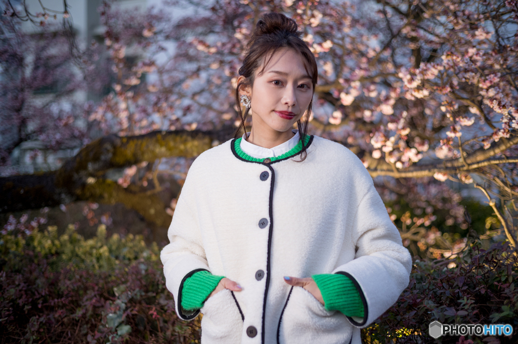 夜桜