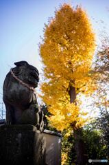 諏訪神社2