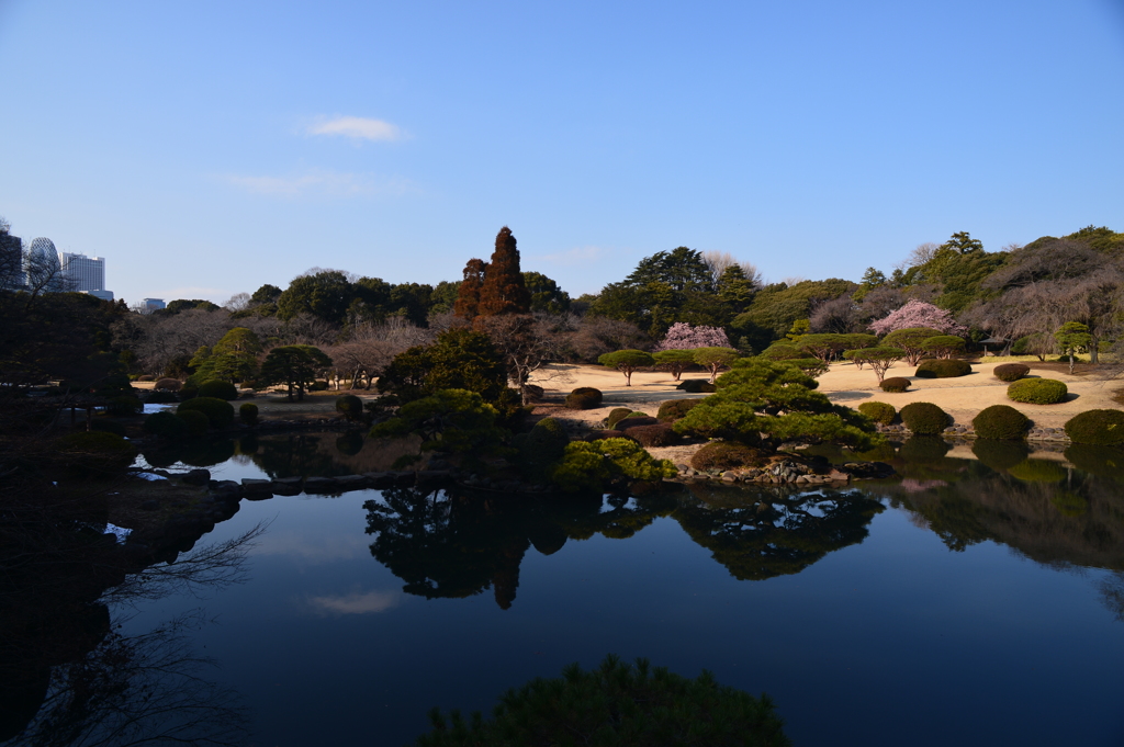 日本庭園が望めます
