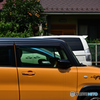 Dark Orange