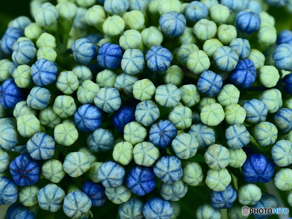 駄菓子屋の飴玉風に