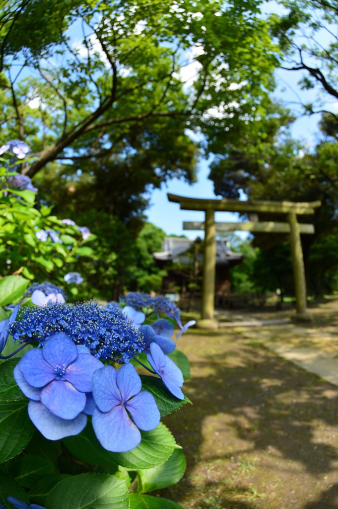 旧稲生神社