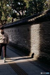 人影