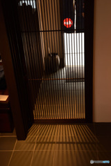 ぶらり花見小路 弐