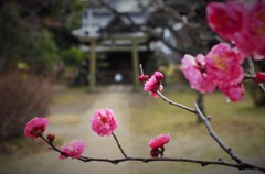 旧稲生神社