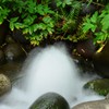 清涼感の塊