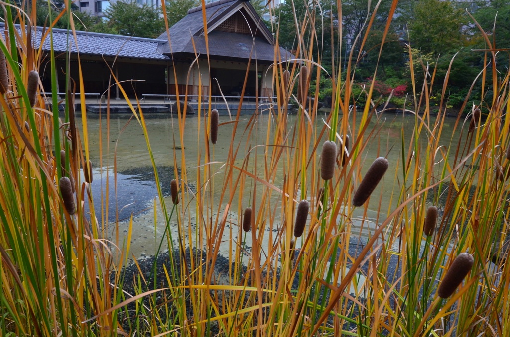 檜町公園3
