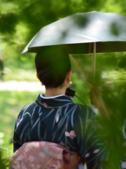 花菖蒲を探して2