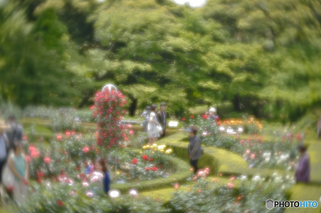 洋風庭園