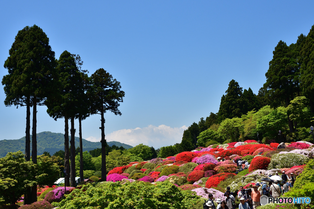 山のホテル庭園