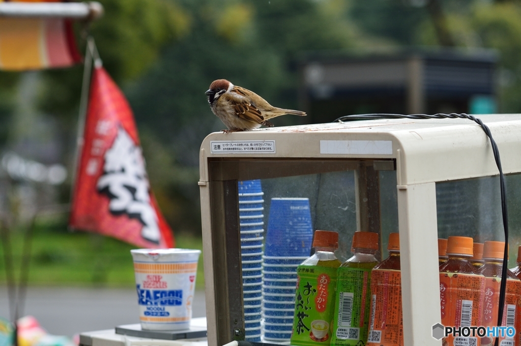 ３分待つの？