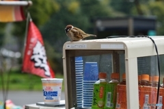 ３分待つの？