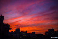 寝室の窓から