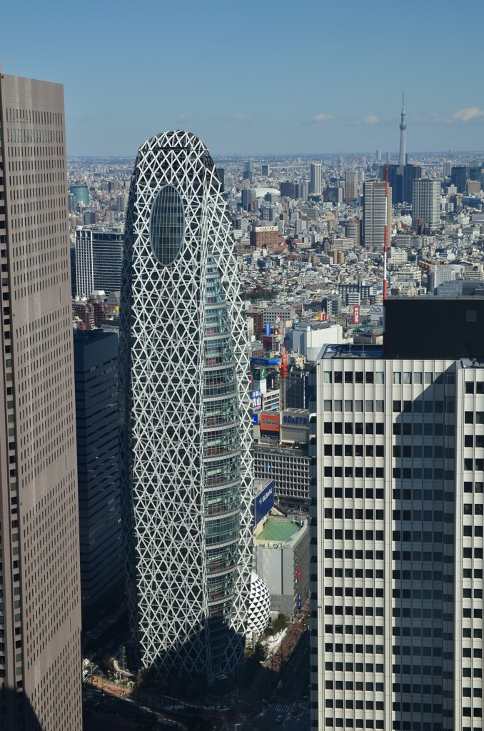 コクーンとツリー