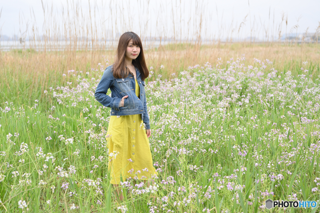 海浜公園2