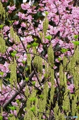 縄のれんを潜るように