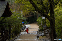雨