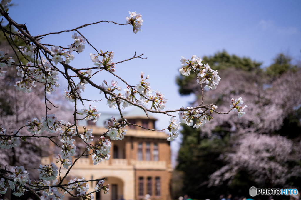 駒場公園
