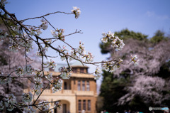 駒場公園