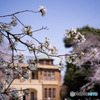 駒場公園
