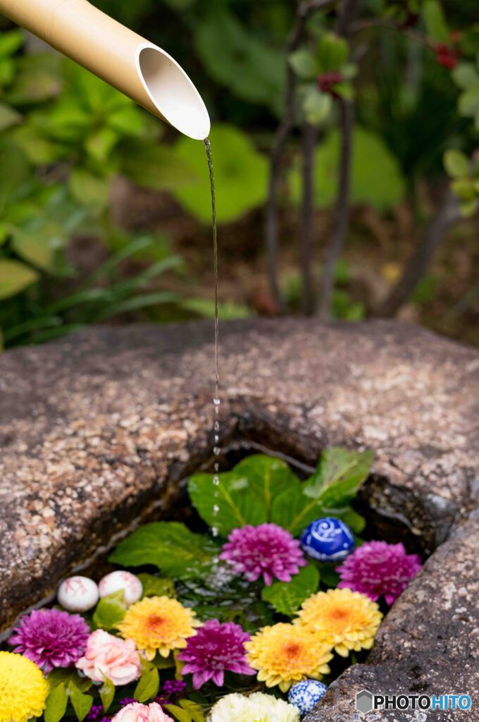 花手水2