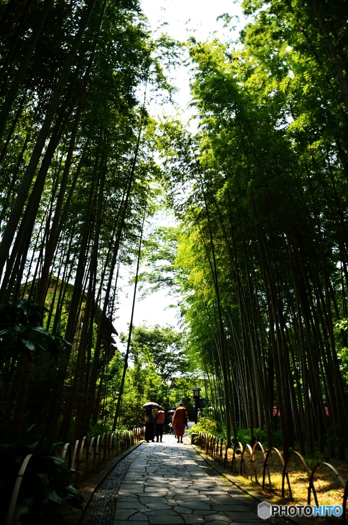 竹林の小径