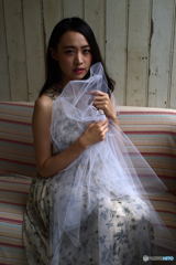 白のオーガンジー